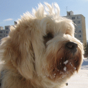 argi6.gif(24 kb)